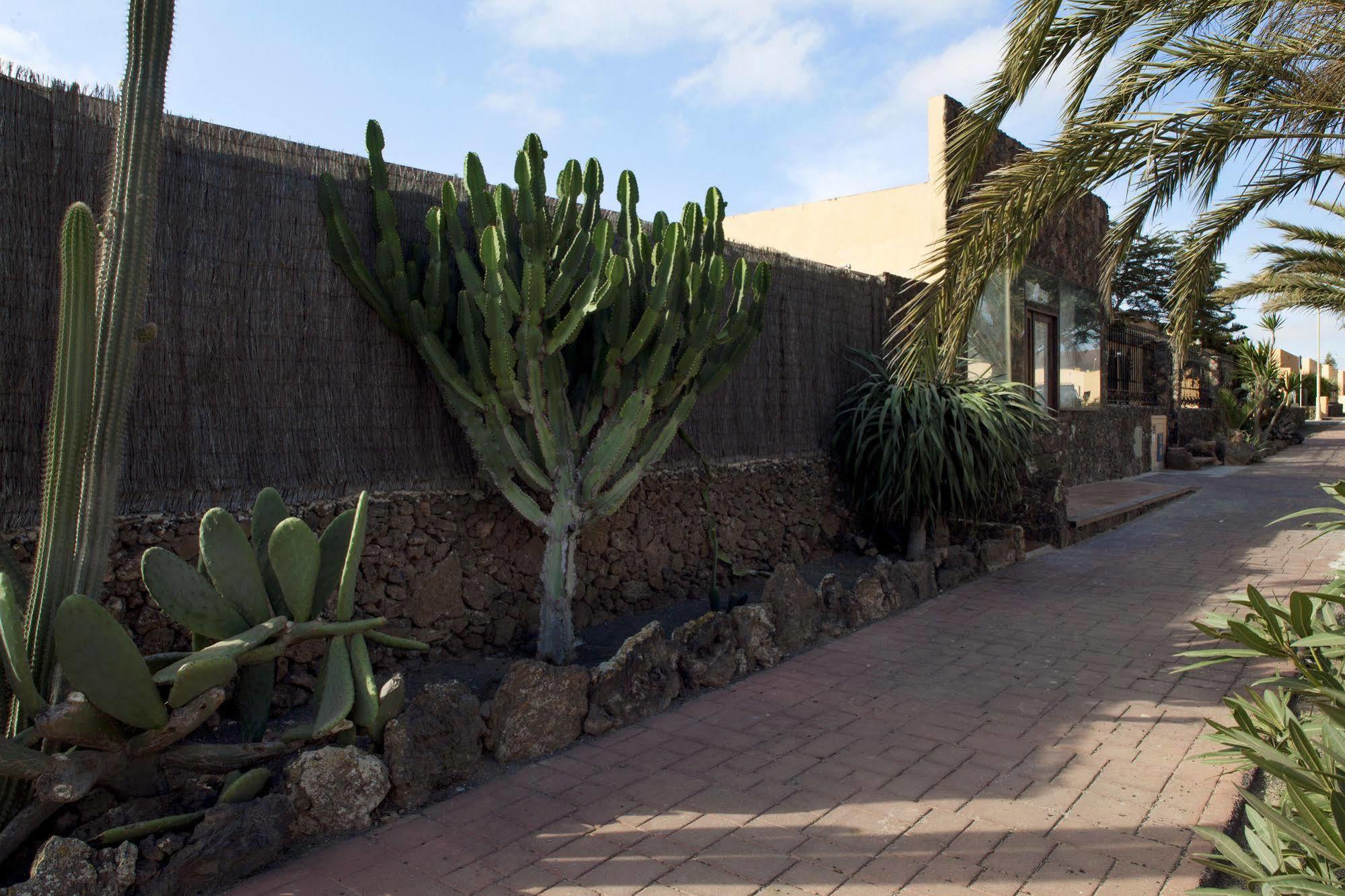 Apartamentos Laurisilva Corralejo Exterior photo